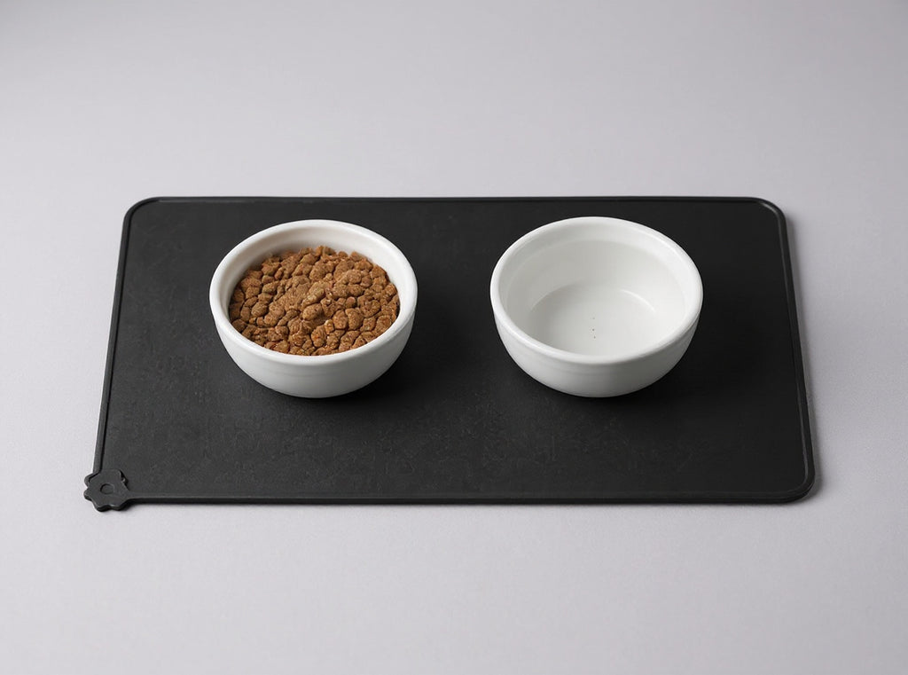 FELYN™ CleanDine Waterproof Feeding Mat
